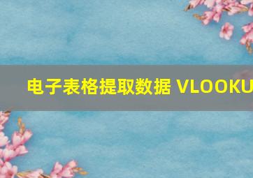 电子表格提取数据 VLOOKUP